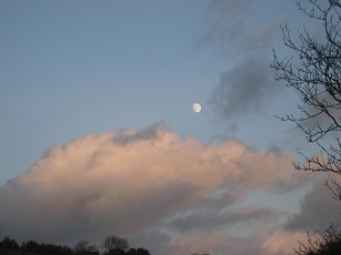 b0110999_20352968.jpg