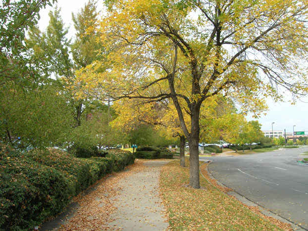 f0108399_13545150.jpg