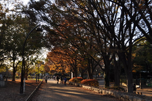 e0007801_10554195.jpg