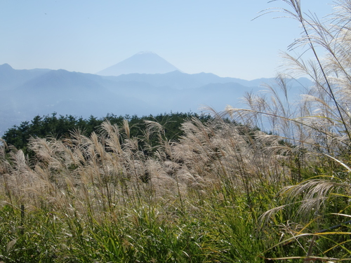 c0110906_7511431.jpg