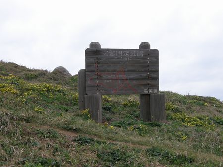 b0061107_18223198.jpg