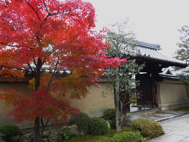 d0154609_7393134.jpg