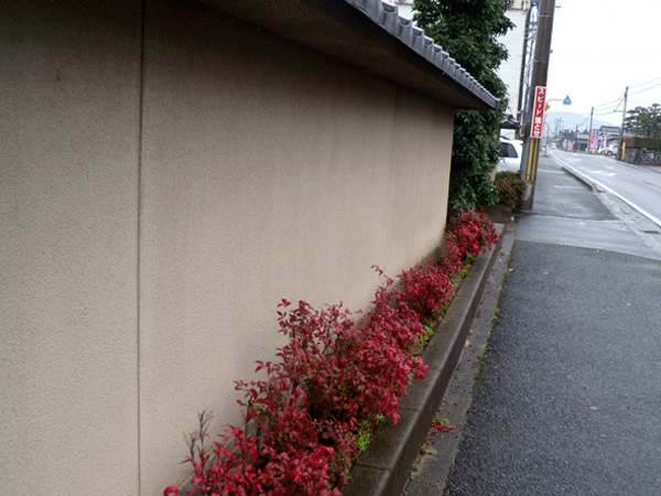 b0159611_19342718.gif