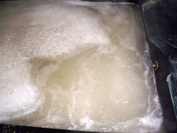 b0159611_19372899.gif