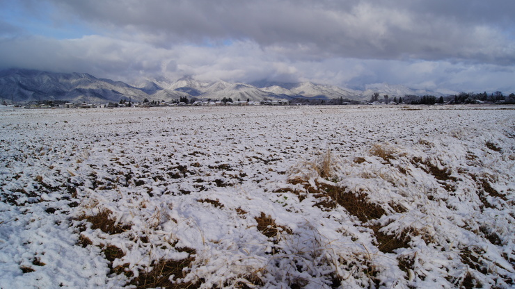 f0233414_22301761.jpg