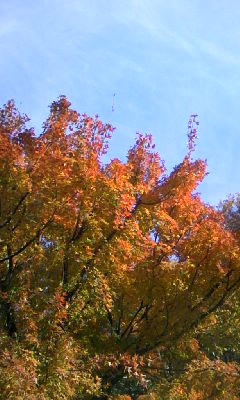d0024220_18203928.jpg