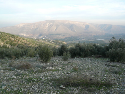 c0112823_2015332.jpg