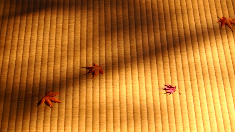 d0252924_12282146.jpg