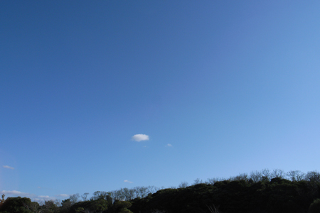 a0097735_1241933.jpg