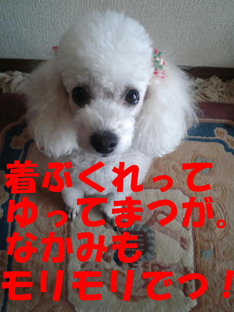 c0117239_12114560.jpg