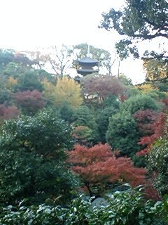 b0039840_0224277.jpg
