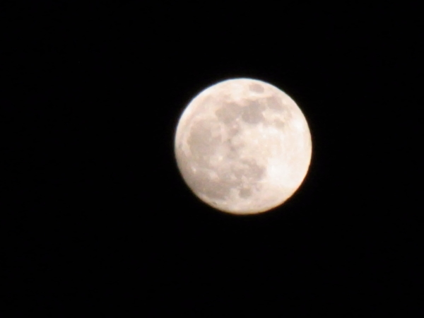 a0175545_17471779.jpg