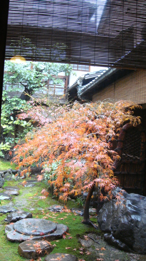 a0212656_01927.jpg