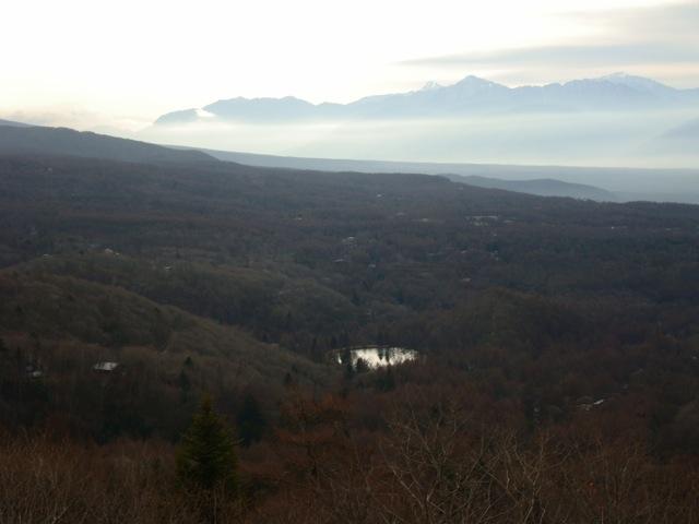 f0198556_23141495.jpg