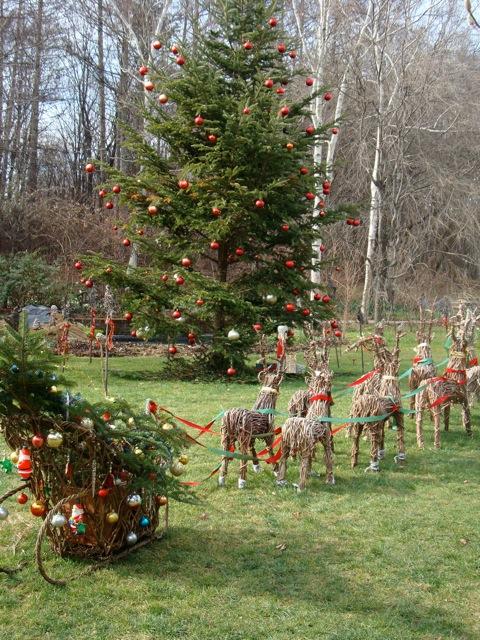 f0198556_23211342.jpg