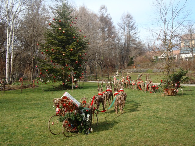 f0198556_2324181.jpg