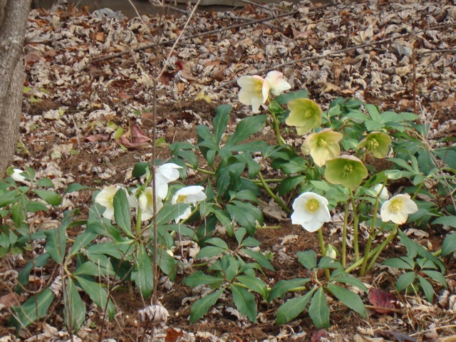 f0198556_2341305.jpg