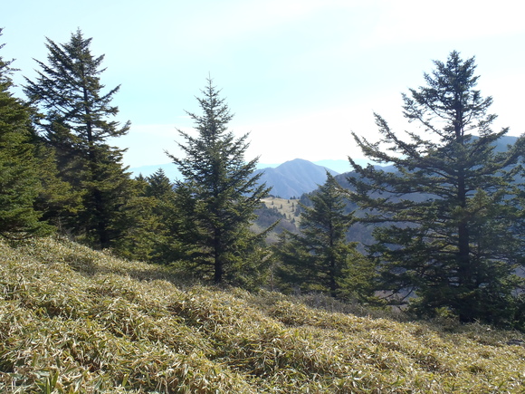 d0091069_1422048.jpg