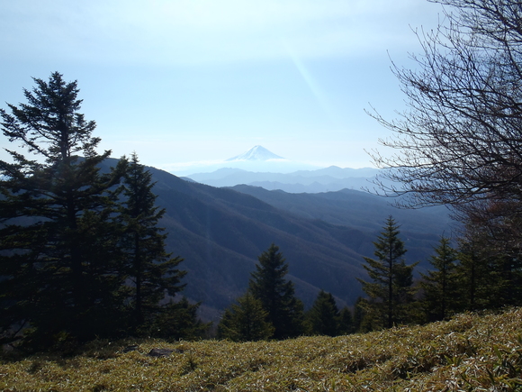 d0091069_1425447.jpg