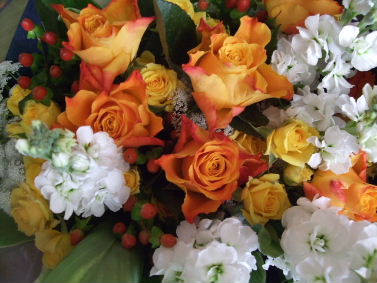 f0039281_0142322.jpg