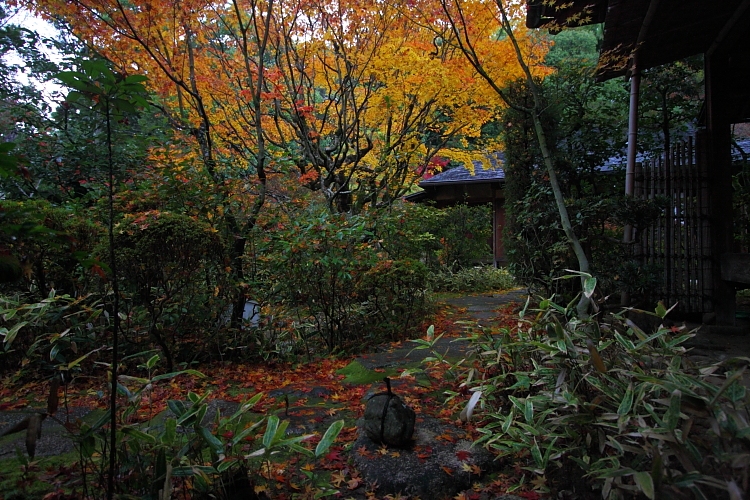 e0051888_144885.jpg