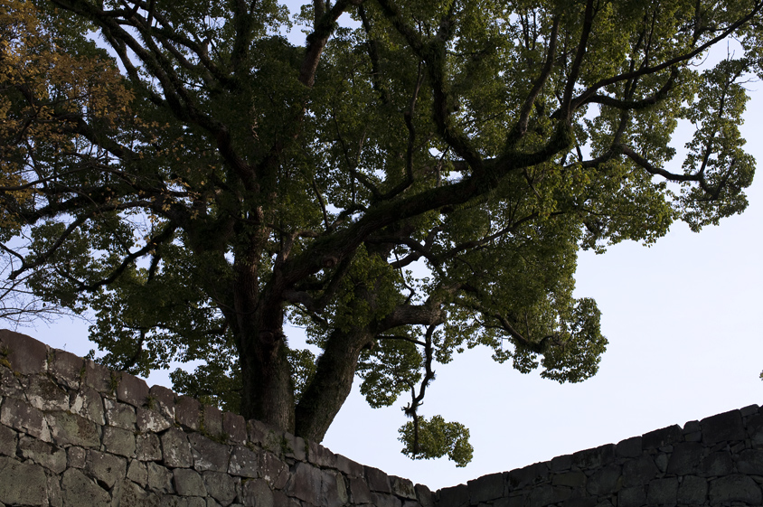 a0140890_2144038.jpg