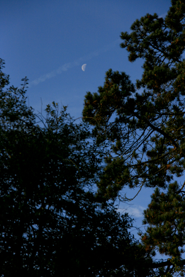 f0093592_10505486.jpg