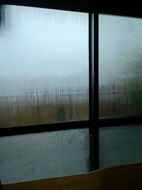 b0234697_1157798.jpg