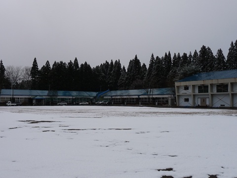 a0138198_1481320.jpg