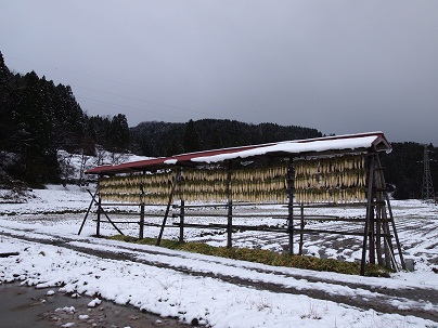 c0187298_16445763.jpg