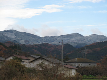a0117599_22432285.jpg