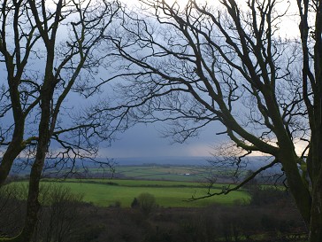 b0110999_19475969.jpg