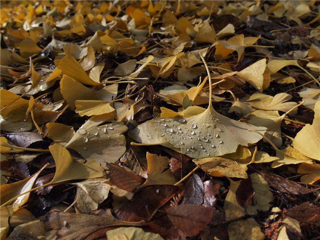 f0224100_0472075.jpg