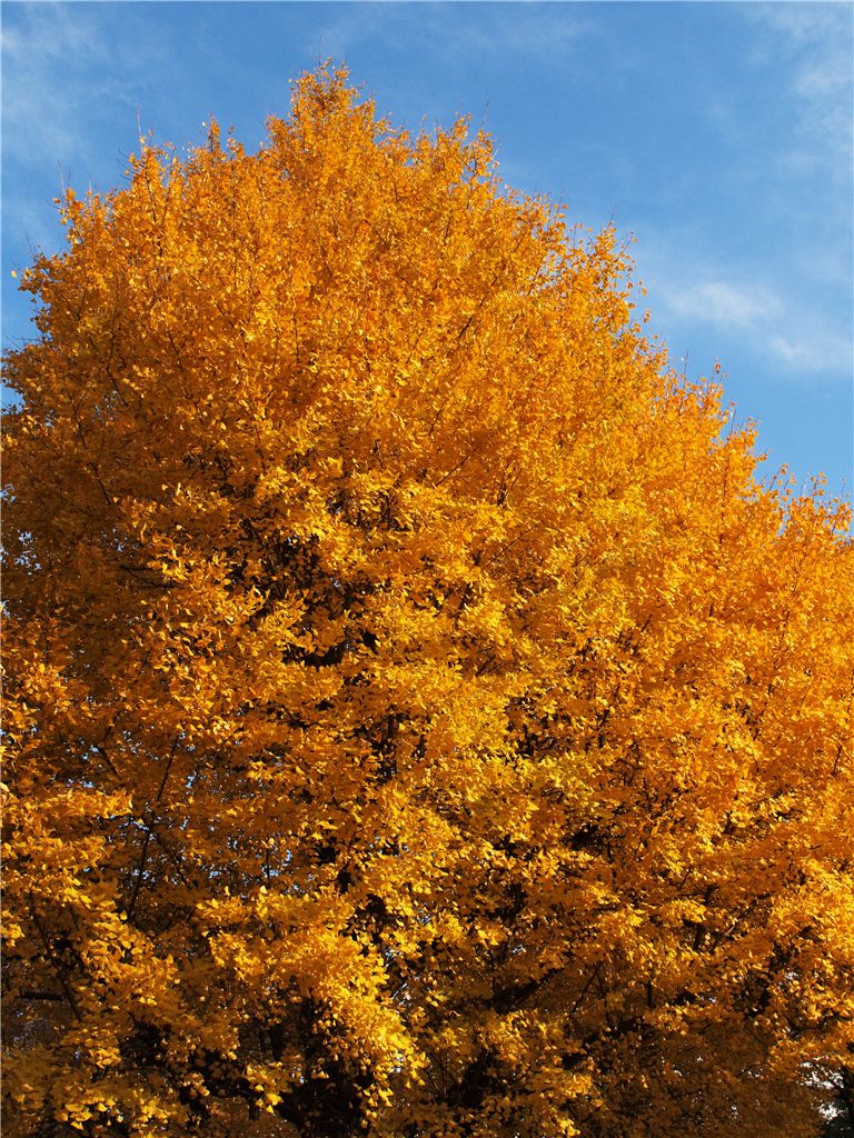 f0224100_048447.jpg