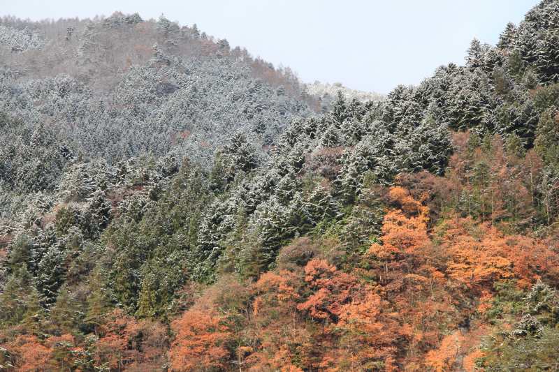 a0188405_17511790.jpg