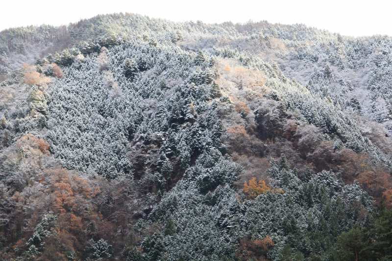 a0188405_17541175.jpg