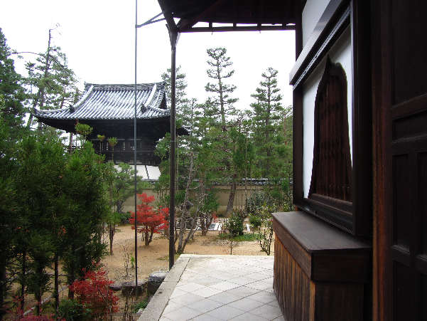 d0154609_1656231.jpg