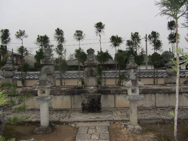 d0154609_1735047.jpg