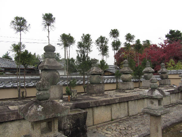 d0154609_175123.jpg