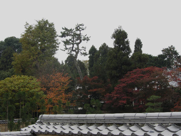 d0154609_1762514.jpg