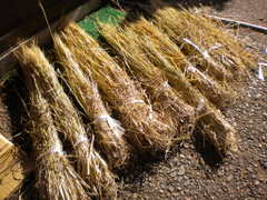 c0229312_6423712.jpg