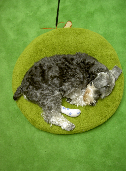 c0192319_21585131.jpg