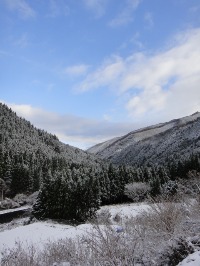 c0189724_20525195.jpg