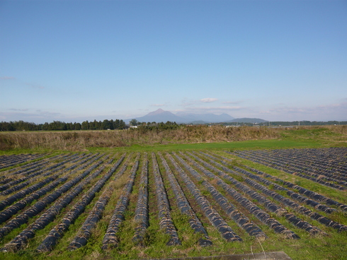 a0206332_6235144.jpg