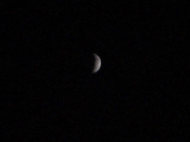 d0005632_23271896.jpg
