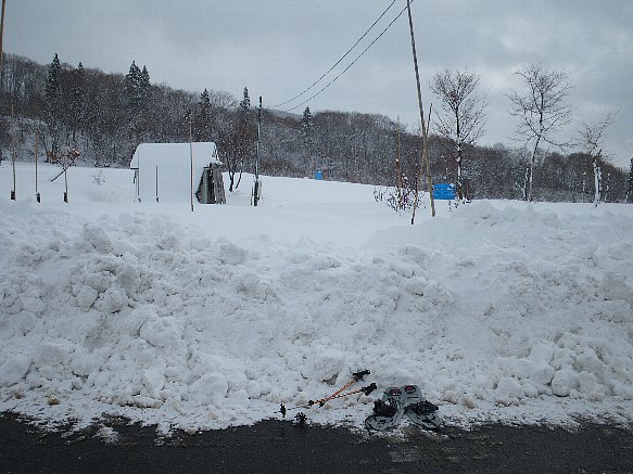 f0118332_2258351.jpg