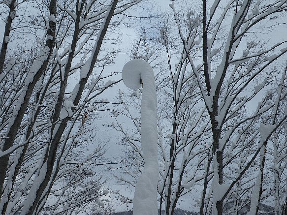 f0118332_23201347.jpg