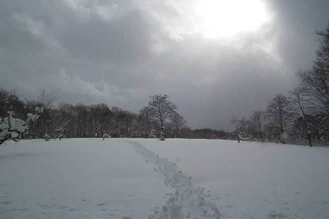 f0118332_23203893.jpg