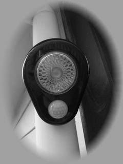 c0134734_15263391.jpg