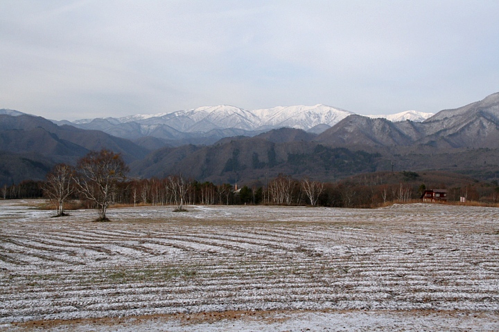 d0012134_17283421.jpg